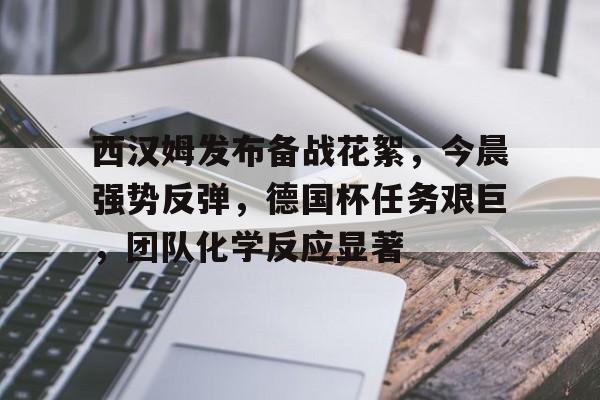 OD体育官网-关于西汉姆发布备战花絮，今晨强势反弹，德国杯任务艰巨，团队化学反应显著的信息